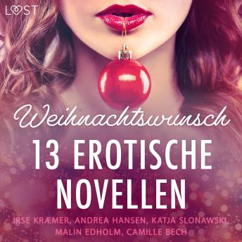 [German] - Weihnachtswunsch - 13 erotische Novellen