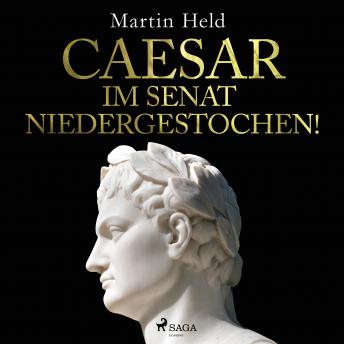 Caesar im Senat niedergestochen!, Audio book by Martin Held