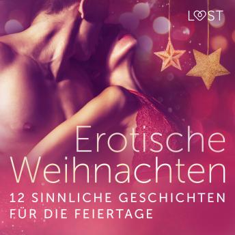 [German] - Erotische Weihnachten: 12 sinnliche Geschichten für die Feiertage