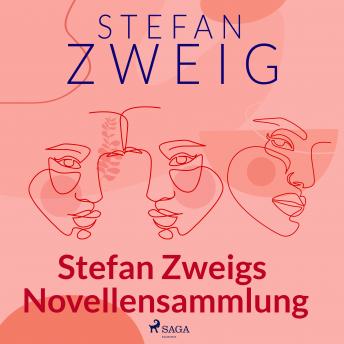 [German] - Stefan Zweigs Novellensammlung