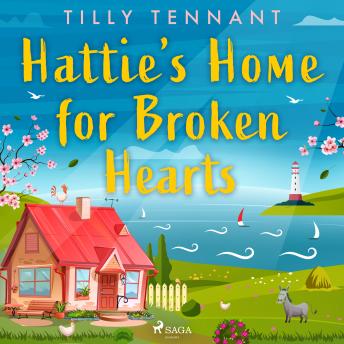Download Hattie's Home for Broken Hearts by Tilly Tennant