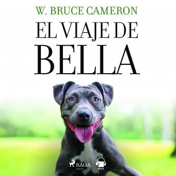 [Spanish] - El viaje de Bella. El regreso a casa 2