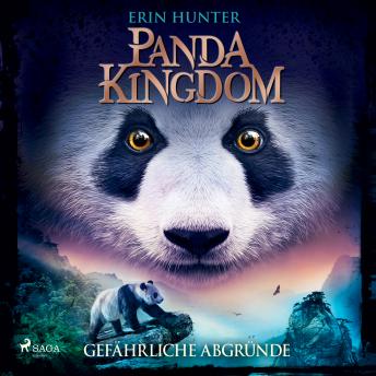 [German] - Panda Kingdom - Gefährliche Abgründe (Panda Kingdom, Band 2)