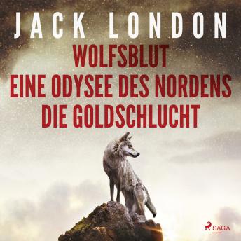Download Klassiker to go: Jack London: Wolfsblut, Die Goldschlucht, Eine Odysee des Nordens by Jack London