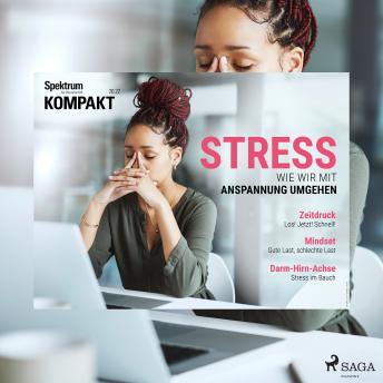 [German] - Spektrum Kompakt: Stress - Wie wir mit Anspannung umgehen