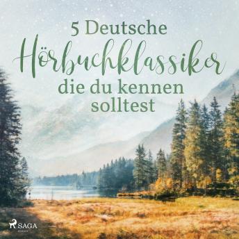 Download 5 Deutsche Hörbuchklassiker, die du kennen solltest by Theodor Storm, Theodor Fontane, Gottfried Keller