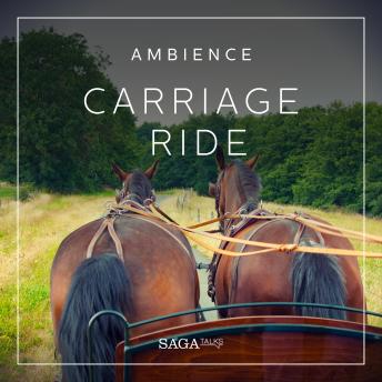 Ambience - Carriage ride