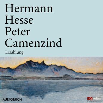 [German] - Peter Camenzind: Erzählung