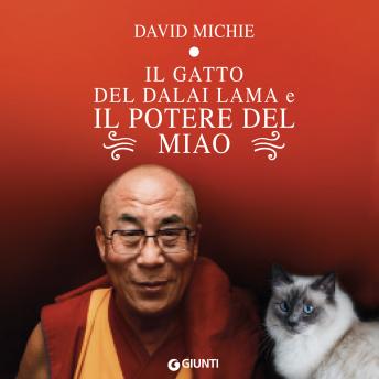 [Italian] - Il gatto del Dalai Lama e il potere del miao
