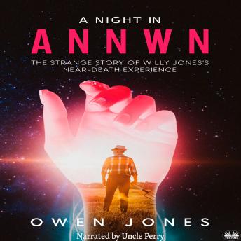 Download A Night In Annwn by Owen Jones