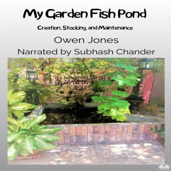 My Garden Fish Pond