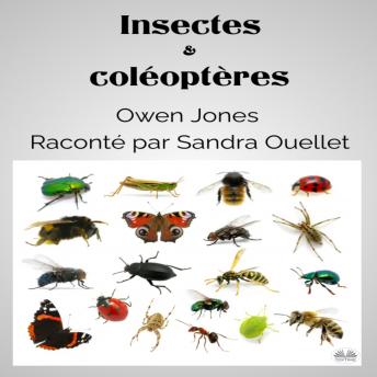 [French] - Insectes Et Coléoptères