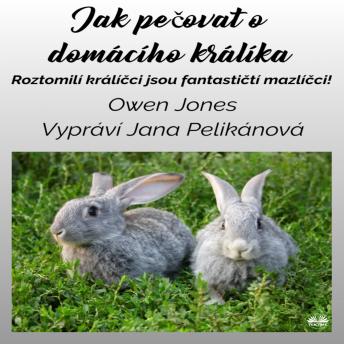 [Czech] - Jak Pečovat O Domácího Králíka