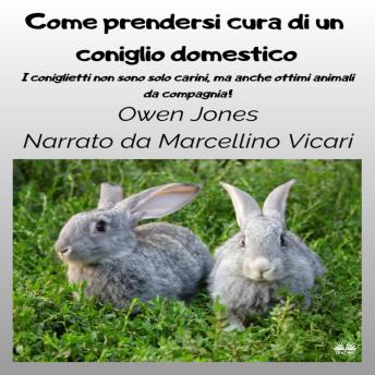 [Italian] - Come Prendersi Cura Di Un Coniglio Domestico