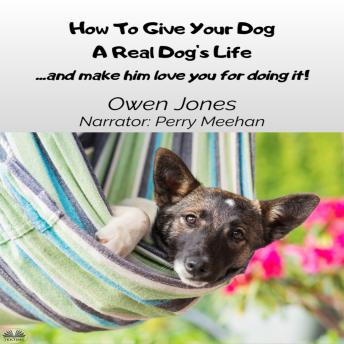 How To Give Your Dog A Real Dog's Life