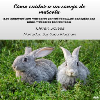 [Spanish] - Cómo Cuidar A Un Conejo De Mascota