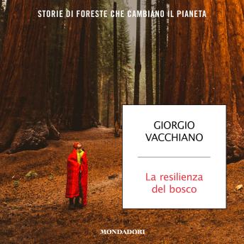 [Italian] - La resilienza del bosco: Storie di foreste che cambiano il pianeta