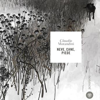 [Italian] - Neve, cane, piede