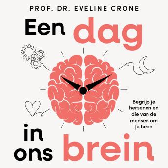 [Dutch; Flemish] - Een dag in ons brein: Begrijp je hersenen en die van de mensen rondom je