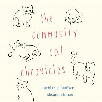Community Cat Chronicles, Audio book by Eleanor Nilsson, Lachlan Madsen