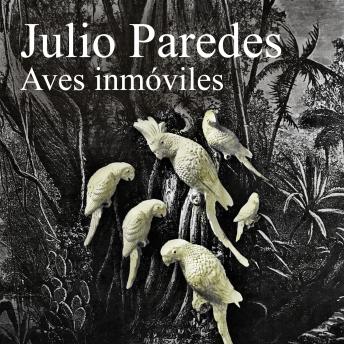 [Spanish] - Aves inmóviles