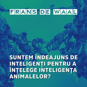 [Romanian] - Suntem îndeajuns de inteligenți pentru a înțelege inteligența animalelor?