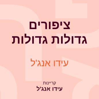[Hebrew] - ציפורים גדולות גדולות
