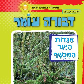 [Hebrew] - אגדות היער המכושף
