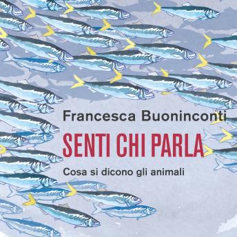[Italian] - Senti chi parla