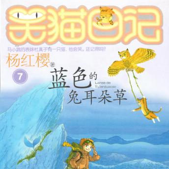 [Chinese] - 蓝色的兔耳朵草