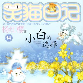 [Chinese] - 小白的选择
