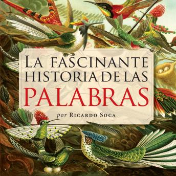 [Spanish] - La fascinante historia de las palabras