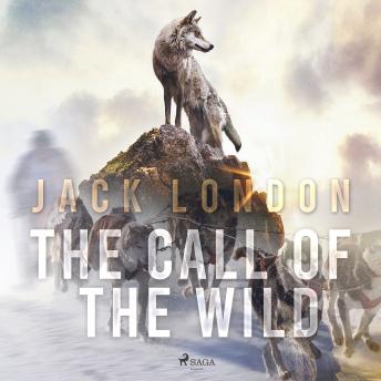 Call of the Wild, Audio book by Jack London