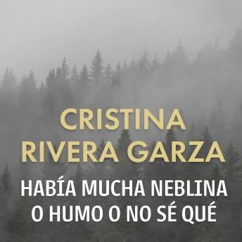 Había mucha neblina o humo o no sé qué