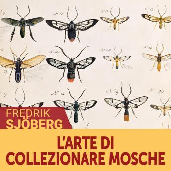 [Italian] - L'arte di collezionare mosche