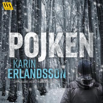 Pojken, Audio book by Karin Erlandsson