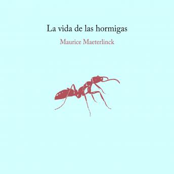 [Spanish] - La vida de las hormigas