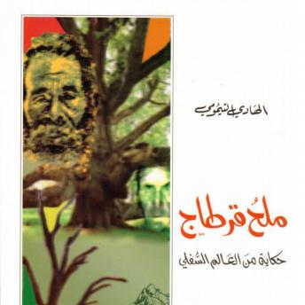 [Arabic] - ملح قرطاج (Authored by الهادي التيمومي) episode artwork