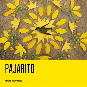 [Spanish] - Pajarito
