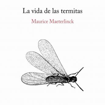 [Spanish] - La vida de las termitas