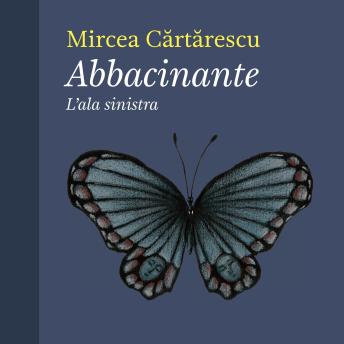 [Italian] - Abbacinante. L'ala sinistra