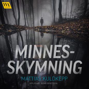 [Swedish] - Minnesskymning