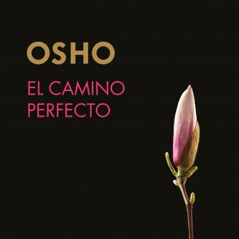 [Spanish] - El camino perfecto