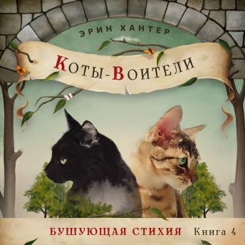 [Russian] - Бушующая стихия