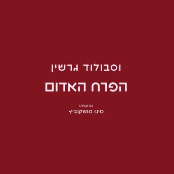 [Hebrew] - הפרח האדום