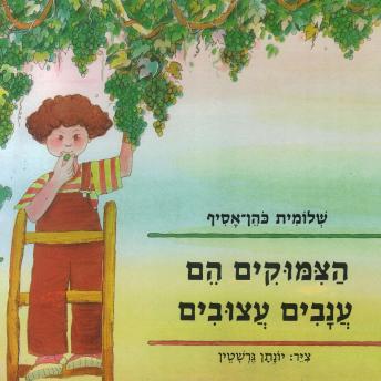 [Hebrew] - הצימוקים הם ענבים עצובים