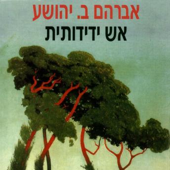 [Hebrew] - אש ידידותית