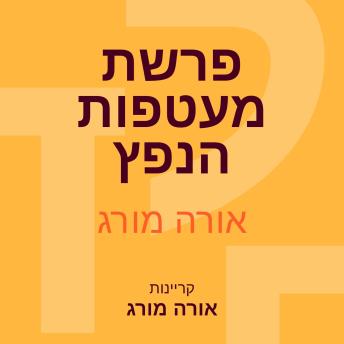 [Hebrew] - פרשת מעטפות הנפץ