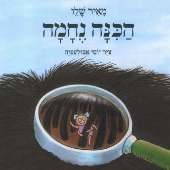 [Hebrew] - הכינה נחמה