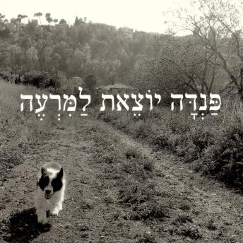 [Hebrew] - פנדה יוצאת למרעה